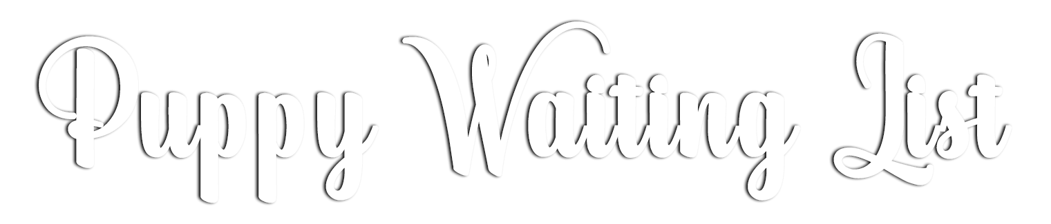 puppy-waiting-list-graphic copy 2